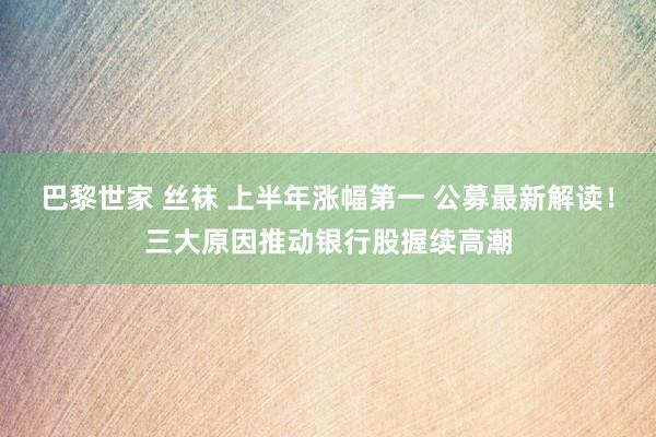 巴黎世家 丝袜 上半年涨幅第一 公募最新解读！三大原因推动银行股握续高潮