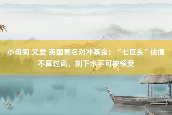 小母狗 文爱 英国著名对冲基金：“七巨头”估值不算过高，刻下水平可被领受