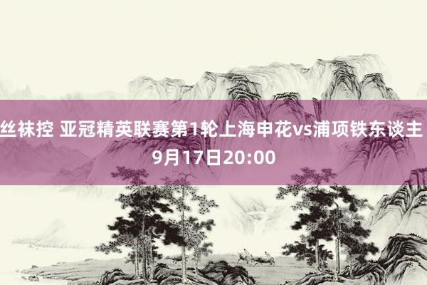 丝袜控 亚冠精英联赛第1轮上海申花vs浦项铁东谈主 9月17日20:00