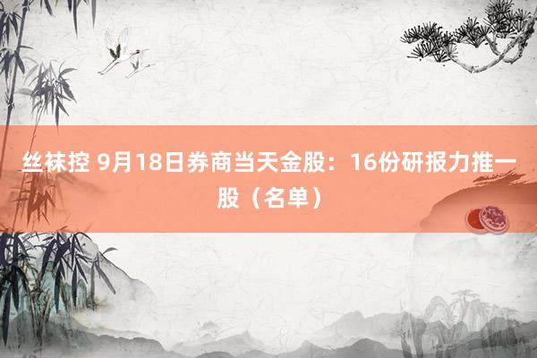 丝袜控 9月18日券商当天金股：16份研报力推一股（名单）