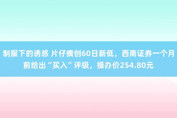 制服下的诱惑 片仔癀创60日新低，西南证券一个月前给出“买入”评级，操办价254.80元