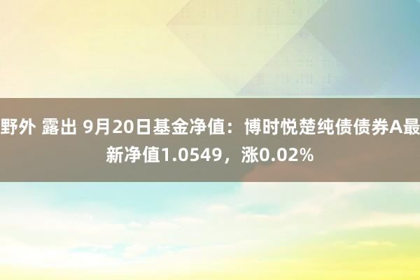 野外 露出 9月20日基金净值：博时悦楚纯债债券A最新净值1.0549，涨0.02%