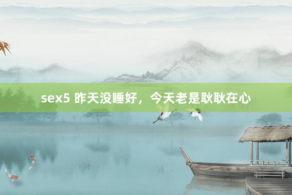 sex5 昨天没睡好，今天老是耿耿在心
