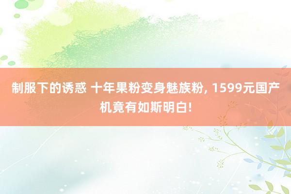 制服下的诱惑 十年果粉变身魅族粉， 1599元国产机竟有如斯明白!