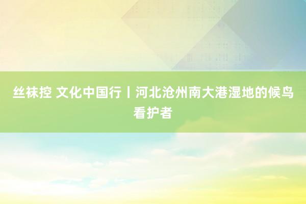 丝袜控 文化中国行丨河北沧州南大港湿地的候鸟看护者