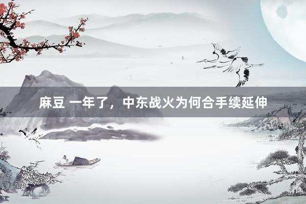 麻豆 一年了，中东战火为何合手续延伸