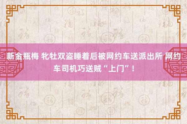 新金瓶梅 牝牡双盗睡着后被网约车送派出所 网约车司机巧送贼“上门”！