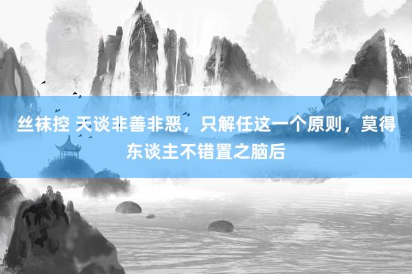 丝袜控 天谈非善非恶，只解任这一个原则，莫得东谈主不错置之脑后