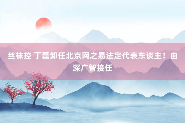 丝袜控 丁磊卸任北京网之易法定代表东谈主!由深广智接任