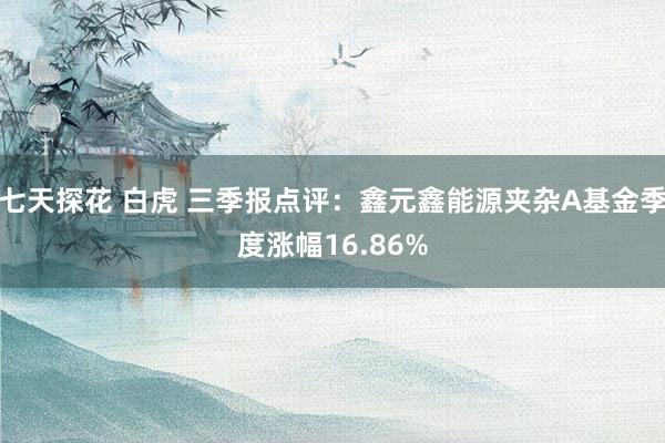 七天探花 白虎 三季报点评：鑫元鑫能源夹杂A基金季度涨幅16.86%