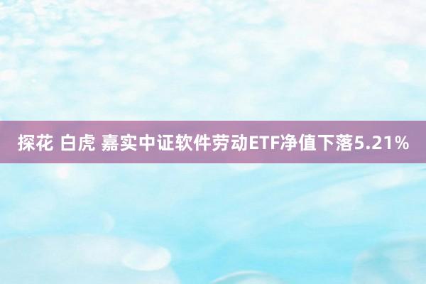 探花 白虎 嘉实中证软件劳动ETF净值下落5.21%