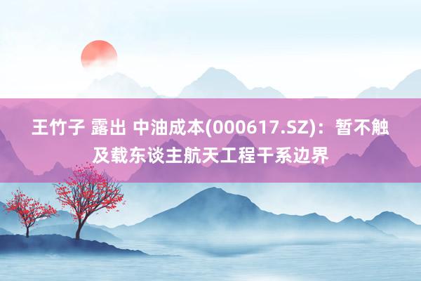 王竹子 露出 中油成本(000617.SZ)：暂不触及载东谈主航天工程干系边界