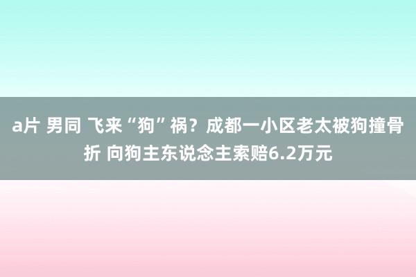 a片 男同 飞来“狗”祸？成都一小区老太被狗撞骨折 向狗主东说念主索赔6.2万元