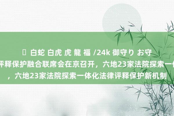 ✨白蛇 白虎 虎 龍 福 /24k 御守り お守り 京津冀生态环境法律评释保护融合联席会在京召开，六地23家法院探索一体化法律评释保护新机制