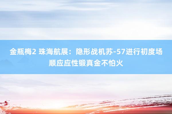 金瓶梅2 珠海航展：隐形战机苏-57进行初度场顺应应性锻真金不怕火