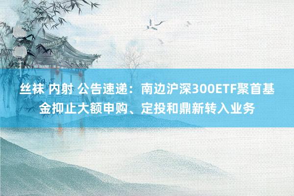 丝袜 内射 公告速递：南边沪深300ETF聚首基金抑止大额申购、定投和鼎新转入业务
