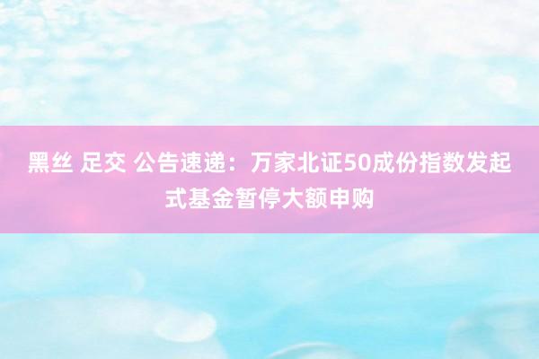 黑丝 足交 公告速递：万家北证50成份指数发起式基金暂停大额申购