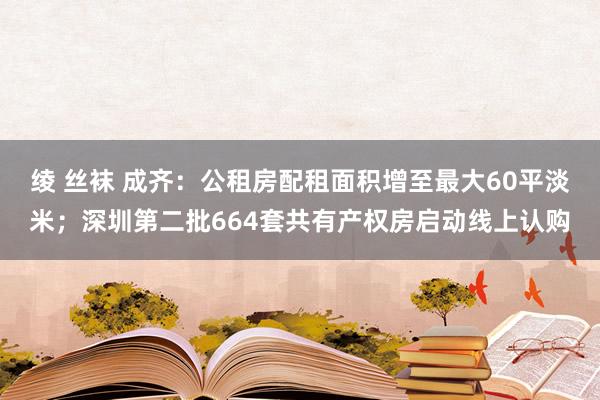 绫 丝袜 成齐：公租房配租面积增至最大60平淡米；深圳第二批664套共有产权房启动线上认购