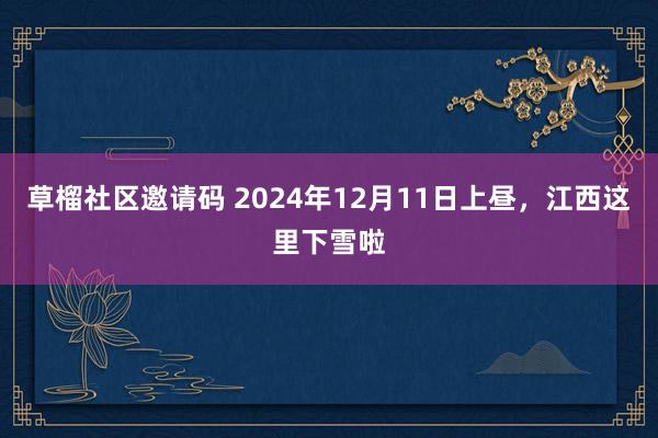 草榴社区邀请码 2024年12月11日上昼，江西这里下雪啦
