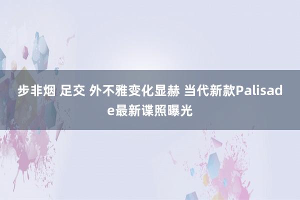 步非烟 足交 外不雅变化显赫 当代新款Palisade最新谍照曝光