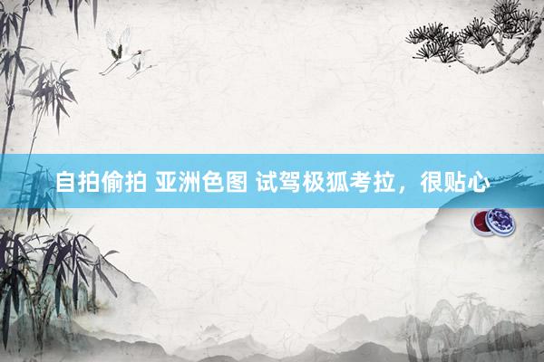 自拍偷拍 亚洲色图 试驾极狐考拉，很贴心