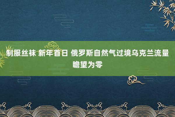 制服丝袜 新年首日 俄罗斯自然气过境乌克兰流量瞻望为零