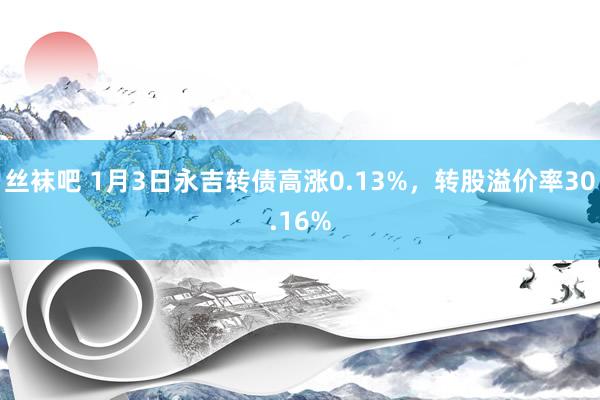 丝袜吧 1月3日永吉转债高涨0.13%，转股溢价率30.16%