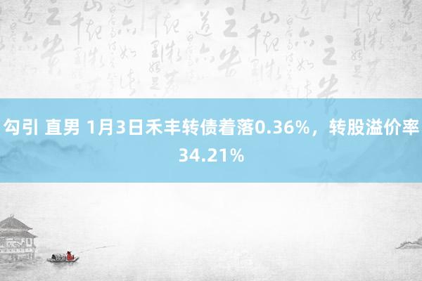 勾引 直男 1月3日禾丰转债着落0.36%，转股溢价率34.21%