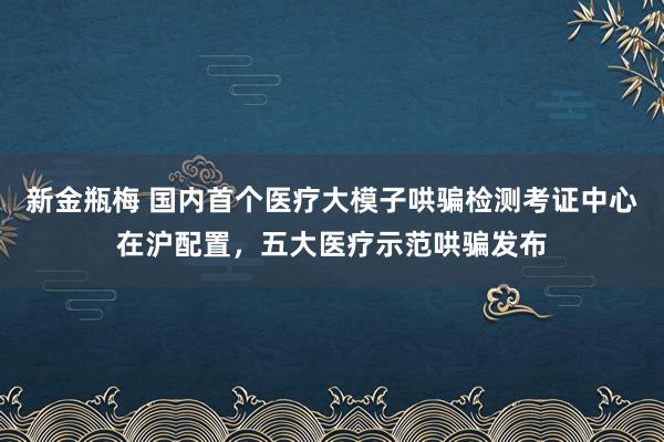 新金瓶梅 国内首个医疗大模子哄骗检测考证中心在沪配置，五大医疗示范哄骗发布