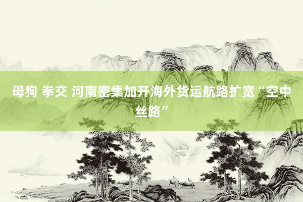 母狗 拳交 河南密集加开海外货运航路扩宽“空中丝路”