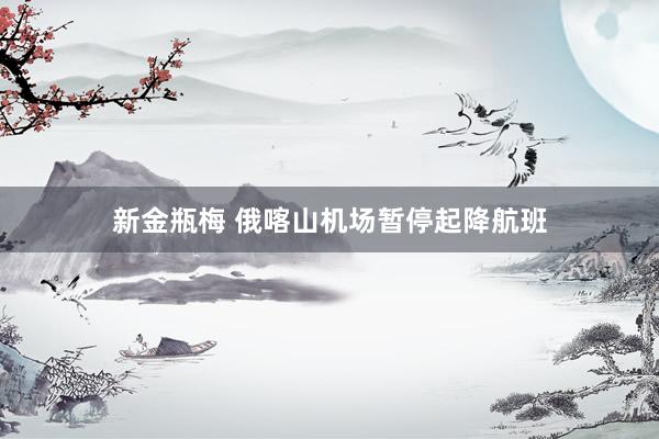 新金瓶梅 俄喀山机场暂停起降航班
