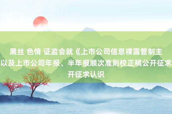 黑丝 色情 证监会就《上市公司信息裸露管制主义》以及上市公司年报、半年报顺次准则校正稿公开征求认识