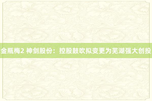 金瓶梅2 神剑股份：控股鼓吹拟变更为芜湖强大创投