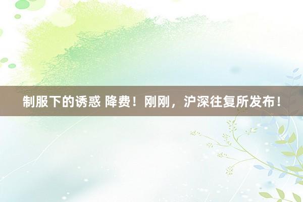 制服下的诱惑 降费！刚刚，沪深往复所发布！