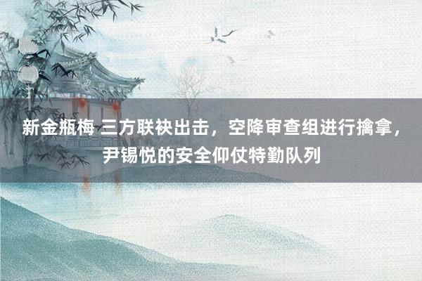 新金瓶梅 三方联袂出击，空降审查组进行擒拿，尹锡悦的安全仰仗特勤队列