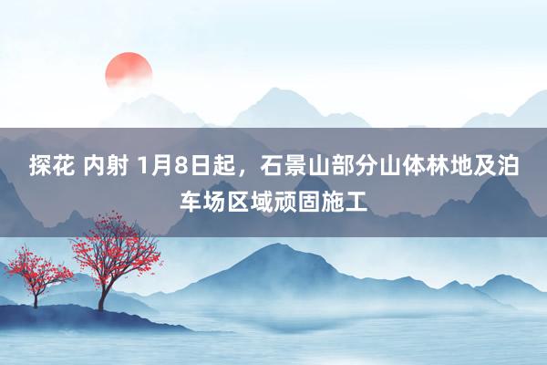 探花 内射 1月8日起，石景山部分山体林地及泊车场区域顽固施工