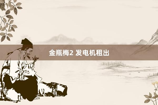 金瓶梅2 发电机租出