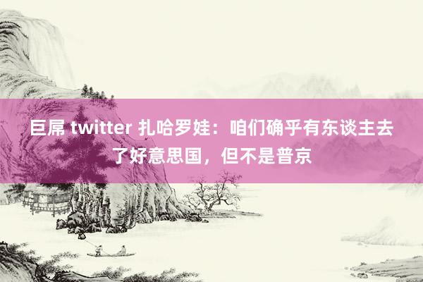 巨屌 twitter 扎哈罗娃：咱们确乎有东谈主去了好意思国，但不是普京