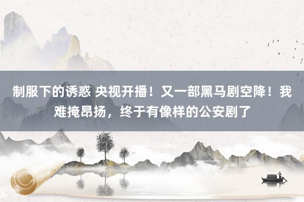 制服下的诱惑 央视开播！又一部黑马剧空降！我难掩昂扬，终于有像样的公安剧了