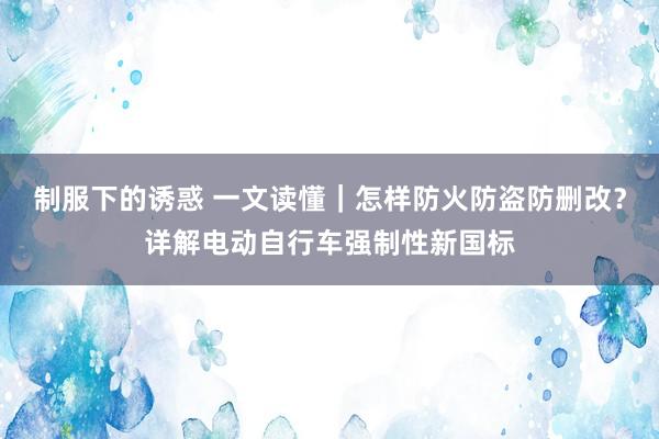 制服下的诱惑 一文读懂｜怎样防火防盗防删改？详解电动自行车强制性新国标