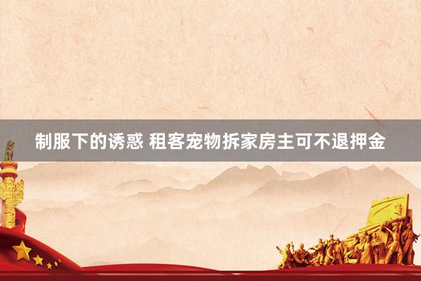 制服下的诱惑 租客宠物拆家房主可不退押金