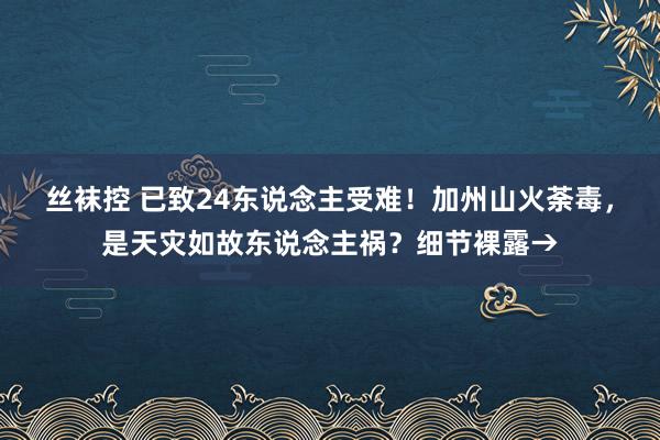 丝袜控 已致24东说念主受难！加州山火荼毒，是天灾如故东说念主祸？细节裸露→