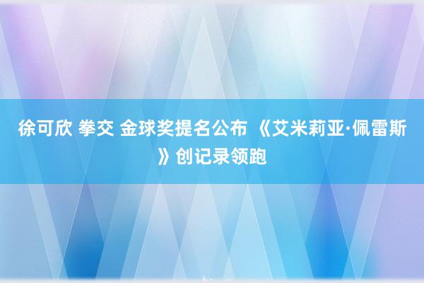 徐可欣 拳交 金球奖提名公布 《艾米莉亚·佩雷斯》创记录领跑