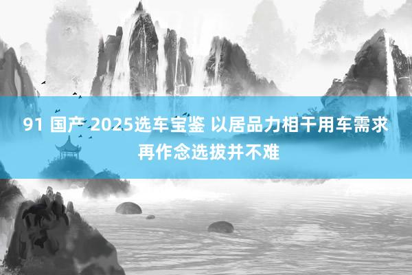 91 国产 2025选车宝鉴 以居品力相干用车需求 再作念选拔并不难
