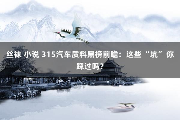 丝袜 小说 315汽车质料黑榜前瞻：这些 “坑” 你踩过吗？