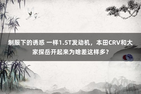 制服下的诱惑 一样1.5T发动机，本田CRV和大家探岳开起来为啥差这样多？
