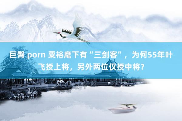 巨臀 porn 粟裕麾下有“三剑客”，为何55年叶飞授上将，另外两位仅授中将？