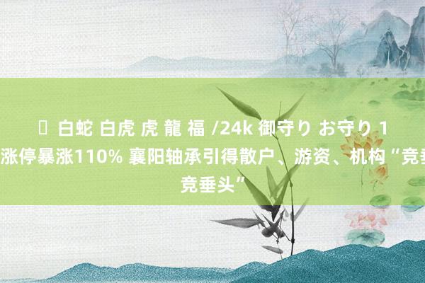 ✨白蛇 白虎 虎 龍 福 /24k 御守り お守り 14天9涨停暴涨110% 襄阳轴承引得散户、游资、机构“竞垂头”