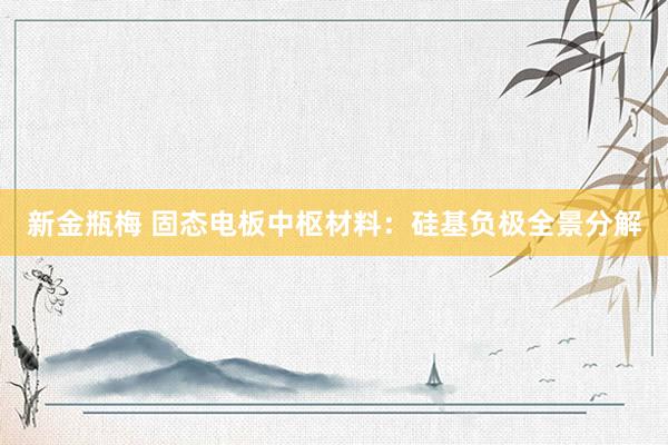 新金瓶梅 固态电板中枢材料：硅基负极全景分解
