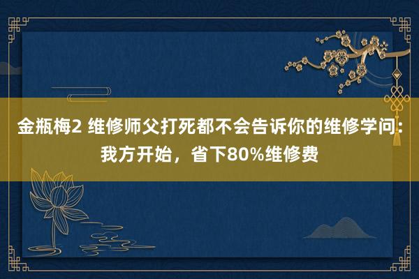 金瓶梅2 维修师父打死都不会告诉你的维修学问：我方开始，省下80%维修费